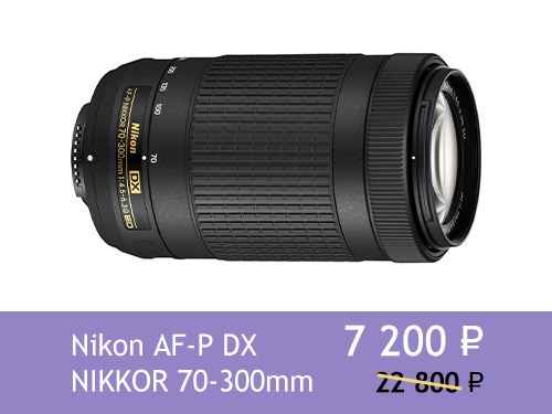 Nikon AF-P DX NIKKOR 70-300mm